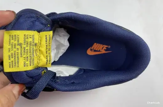 Michigan Nike Dunk DD1391-700 Low 0504